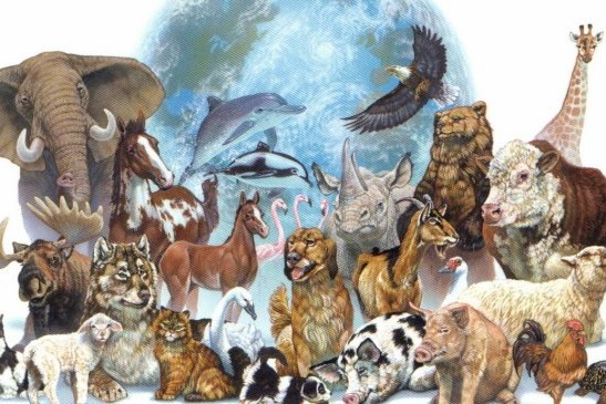 El origen del maltrato animal y el deterioro de la naturaleza